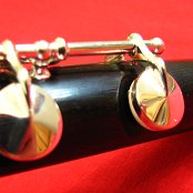 Close up of C-Sharp and C-Natural key on Foot